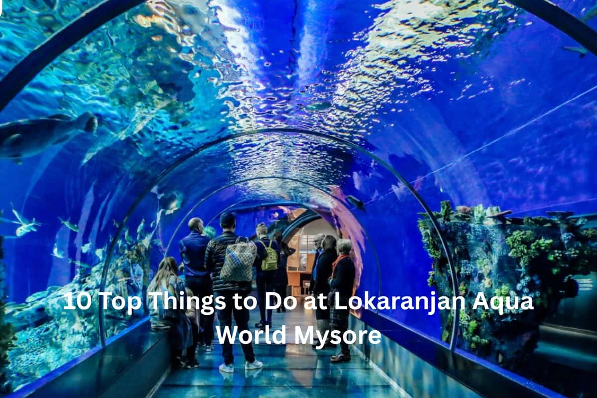 Things to Do at Lokaranjan Aqua World Mysore | Visitor Experience Guide